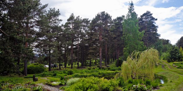 Достопримечательности Карелии: Ботанический сад Петрозаводского государственного университета