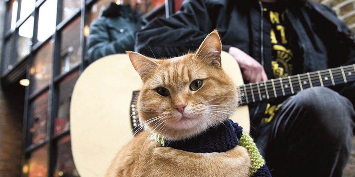 7 фильмов про котов и их приключения