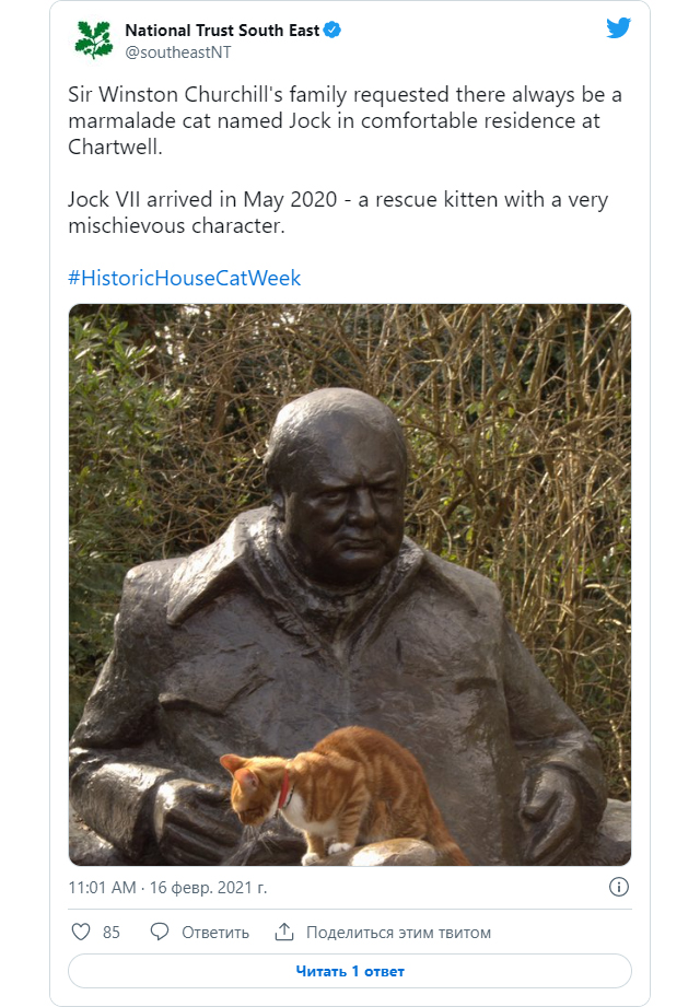 1 известных людей, которые были без ума от кошек: Уинстон Черчилль