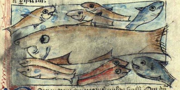 Средневековая кухня: морские свиньи и дельфины
