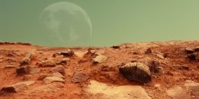 На Марсе обнаружили необычный кусок мусора