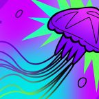 Что делать, если ужалила медуза