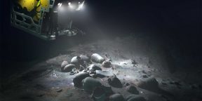 Опубликованы фото легендарного галеона Сан-Хосе, обнаруженного на глубине 950 метров