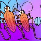 Кусаются ли тараканы и чем ещё они могут быть опасны