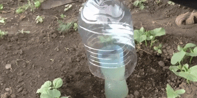 Как сделать капельный полив своими руками с помощью двух пластиковых бутылок