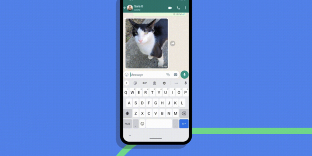 whatsapp �������