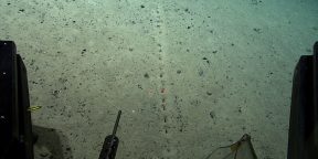 На дне Атлантического океана на глубине 4 км найдены загадочные отверстия