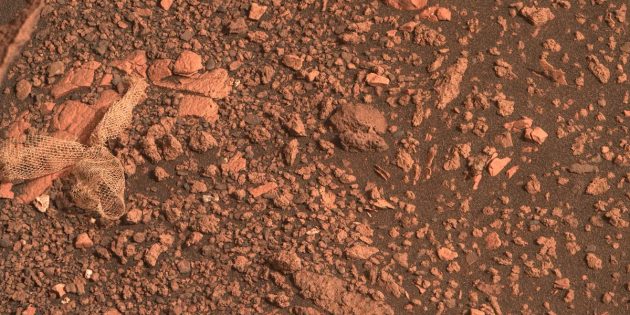 Ровер Perseverance сфотографировал на Марсе очередную необычную находку