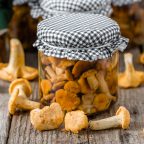 Как вкусно приготовить маринованные грибы