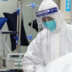 В Китае выявили новый генипавирус, вызывающий лихорадку