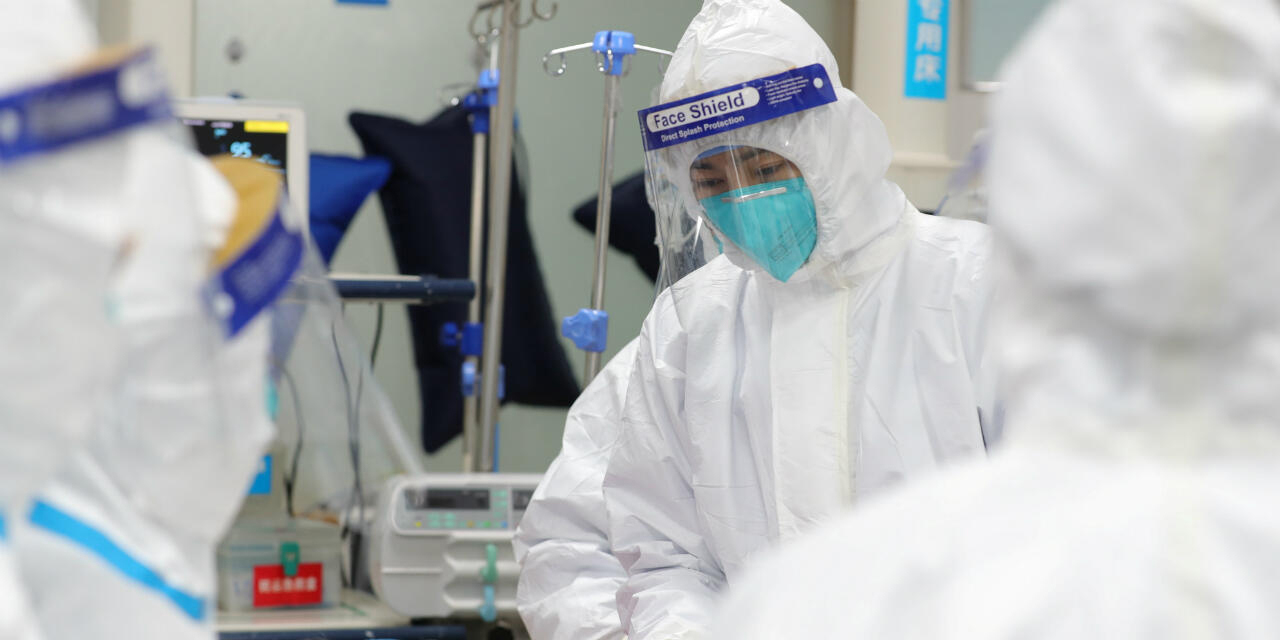 В Китае выявили новый генипавирус, вызывающий лихорадку