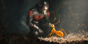 Учёные подсчитали общее количество муравьёв на Земле