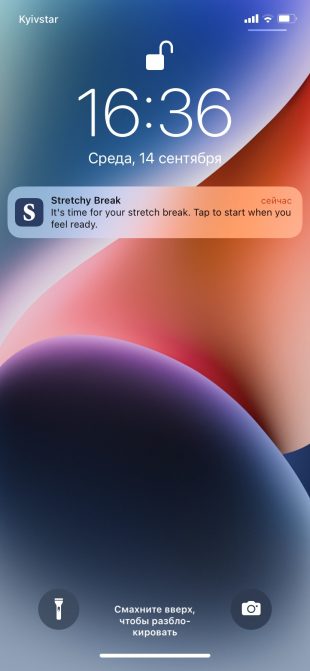 Stretchy для iOS поможет избавиться от болей в спине и шее при работе за компьютером