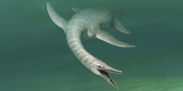 Палеонтологи открыли новый вид динозавра, напоминающего мифическое Лох-несское чудовище