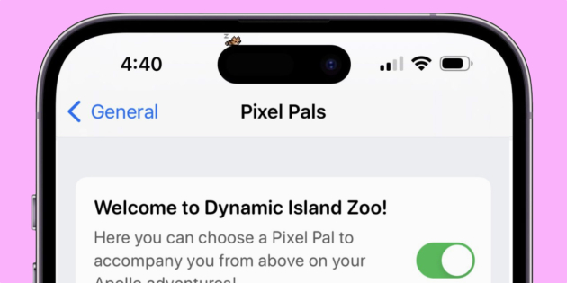 dynamic island