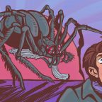 Арахнофобия: почему люди так боятся пауков