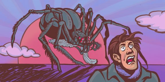 Арахнофобия: почему люди так боятся пауков