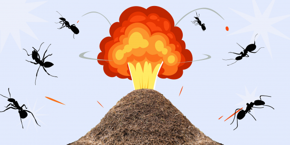 Уничтожение зомби и выращивание грибов: 9 необычных вещей, которые умеют муравьи