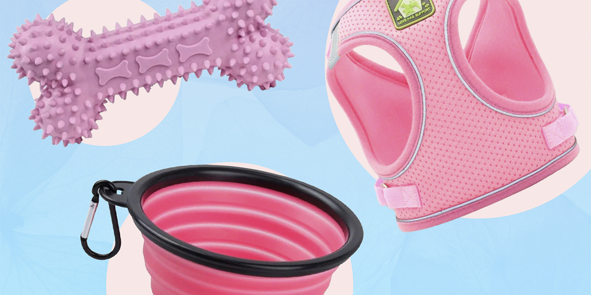 20 товаров для собак, которые пригодятся в уходе и развлечениях