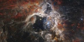 «Джеймс Уэбб» показал туманность Тарантул — кузницу самых горячих звёзд