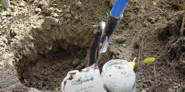 Как сажать малину: сделайте посадочную яму