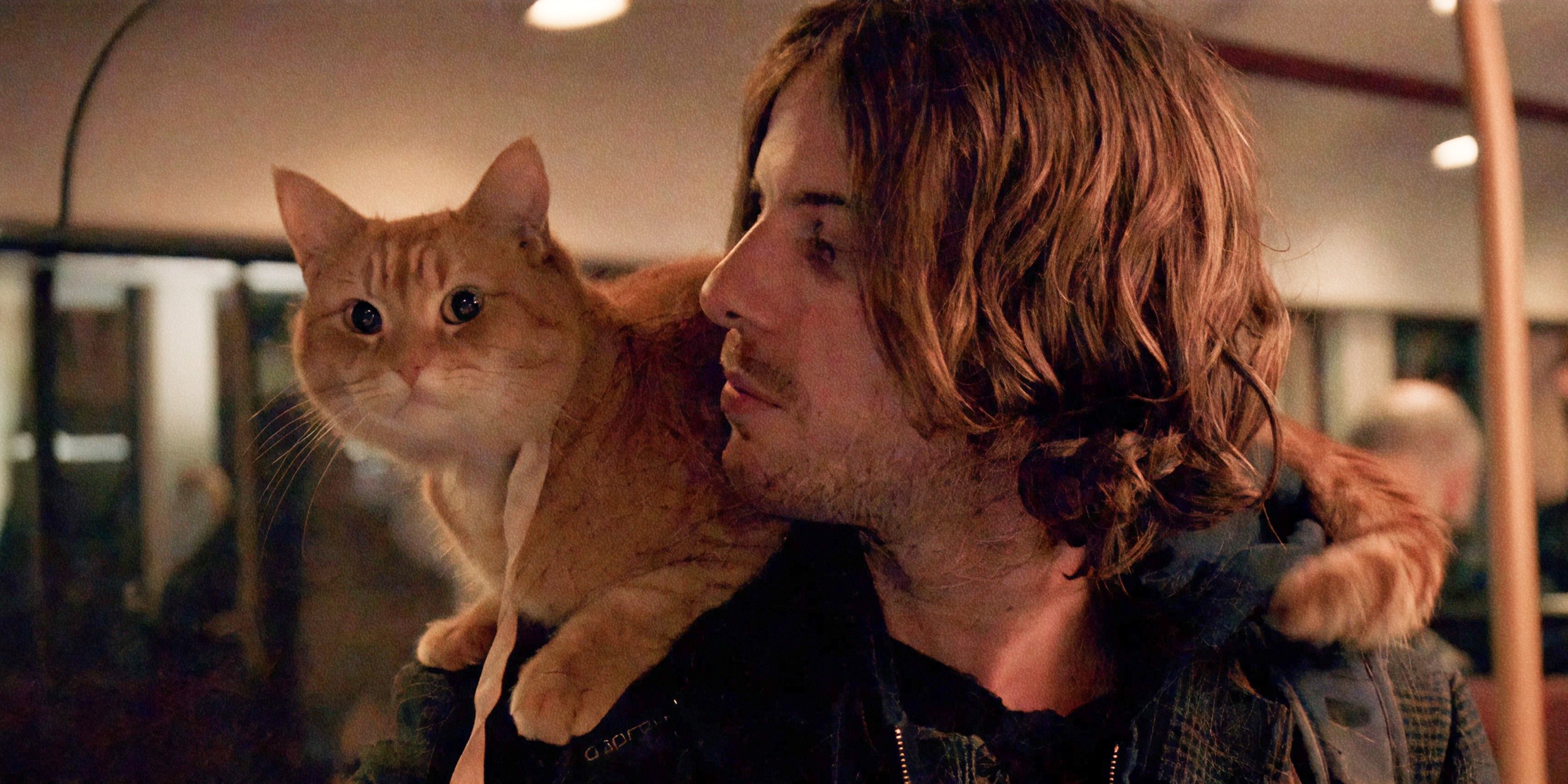 1 марта  День кошек. Идеальное время, чтобы посмотреть фильмы о них