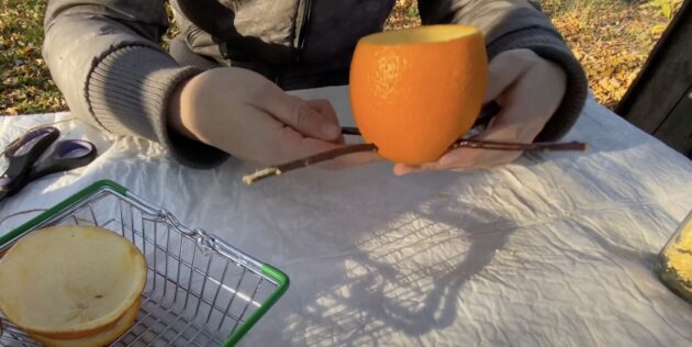 Апельсин, хлеб или сухофрукты: из чего еще можно сделать кормушки для птиц