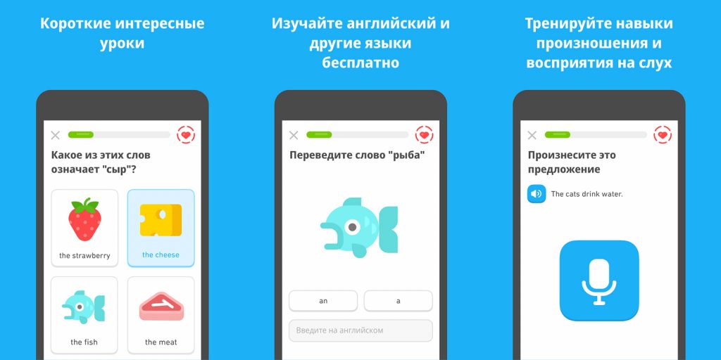Приложения для школы: Duolingo