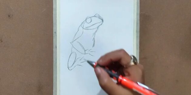 Как нарисовать реалистичную лягушку масляной пастелью: Нарисуйте тень и складочки на животе лягушки