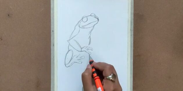 Как нарисовать реалистичную лягушку масляной пастелью: Проработайте пальцы лягушки