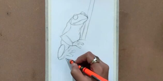 Как нарисовать реалистичную лягушку масляной пастелью: Нарисуйте стебель цветка