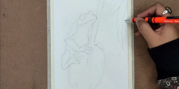 Как нарисовать реалистичную лягушку масляной пастелью: Добавьте листочки справа