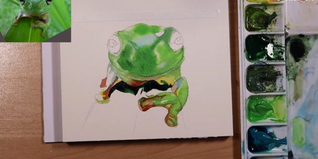 Как нарисовать реалистичную лягушку акварелью: прорисуйте тени под телом и лапами лягушки