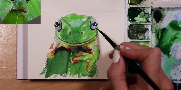 Как нарисовать реалистичную лягушку акварелью: Сделайте тон на мордочке лягушки чуть темнее