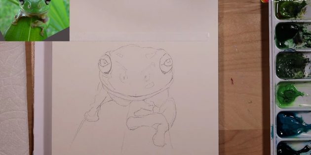 Как нарисовать реалистичную лягушку акварелью: Прорисуйте зрачки