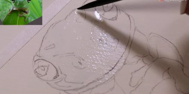 Как нарисовать реалистичную лягушку акварелью: Нанесите влажной кистью немного воды на мордочку