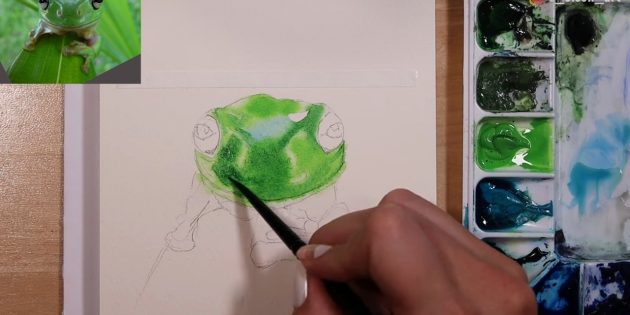 Как нарисовать реалистичную лягушку акварелью: Обозначьте блики голубым