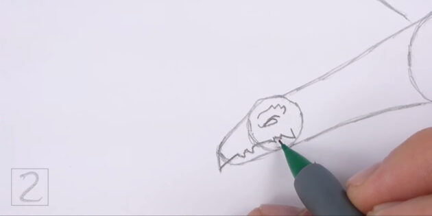 Как нарисовать реалистичного летящего дракона: нарисуйте челюсть