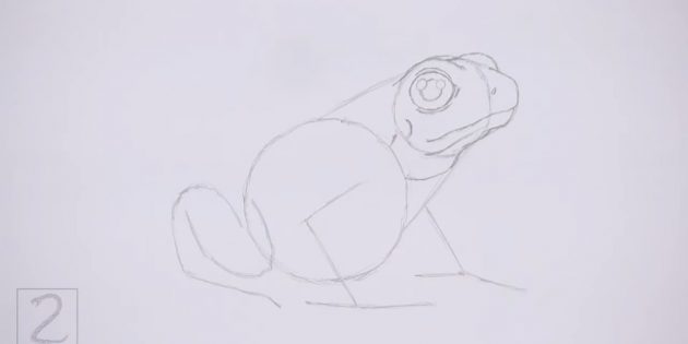 Как нарисовать реалистичную лягушку цветными карандашами: Нарисуйте рот и контур глаза, который нам не виден