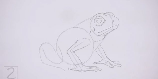 Как нарисовать реалистичную лягушку цветными карандашами: Прорисуйте передние лапки лягушки