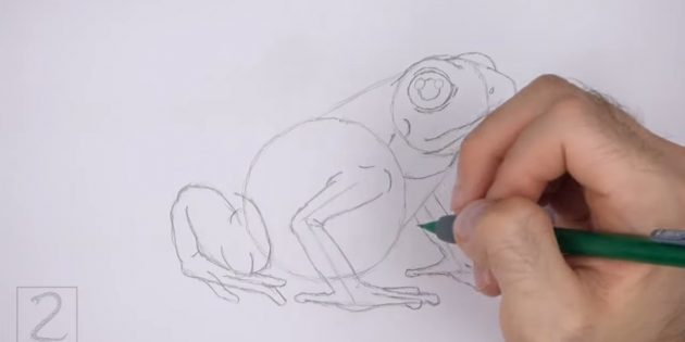 Как нарисовать реалистичную лягушку цветными карандашами: Прорисуйте заднюю ногу лягушки