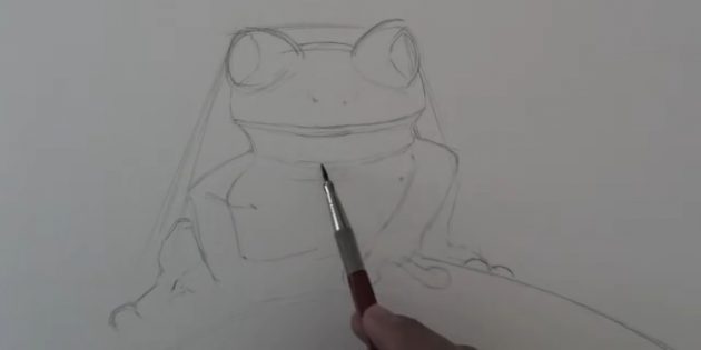 Как нарисовать реалистичную лягушку простым карандашом: прорисуйте контуры лягушки мягким карандашом
