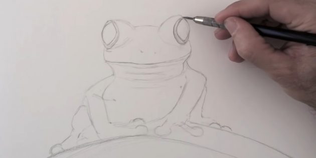 Как нарисовать реалистичную лягушку простым карандашом: прорисуйте все нечаянно стёртые фрагменты заново