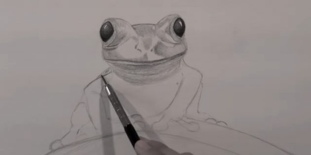Как нарисовать реалистичную лягушку простым карандашом: Прорисуйте подбородок, выделите рот и складки на шее лягушки