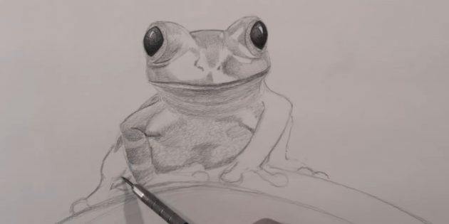 Как нарисовать реалистичную лягушку простым карандашом: Прорисуйте лапки лягушки