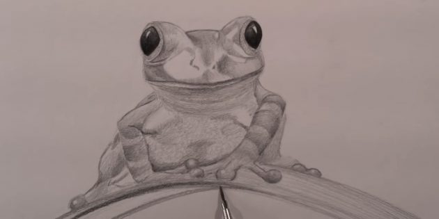Прорисуйте листок, на котором сидит лягушка