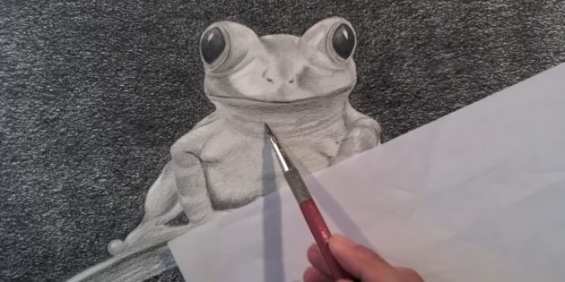 Как нарисовать реалистичную лягушку простым карандашом: Проработайте тени на теле лягушки