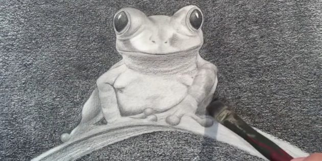 Как нарисовать реалистичную лягушку простым карандашом: Пройдитесь растушевкой по теням