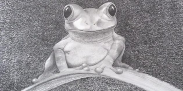 Как нарисовать реалистичную лягушку простым карандашом