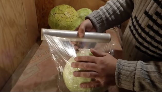 Как правильно хранить капусту в погребе и в домашних условиях - Лайфхакер